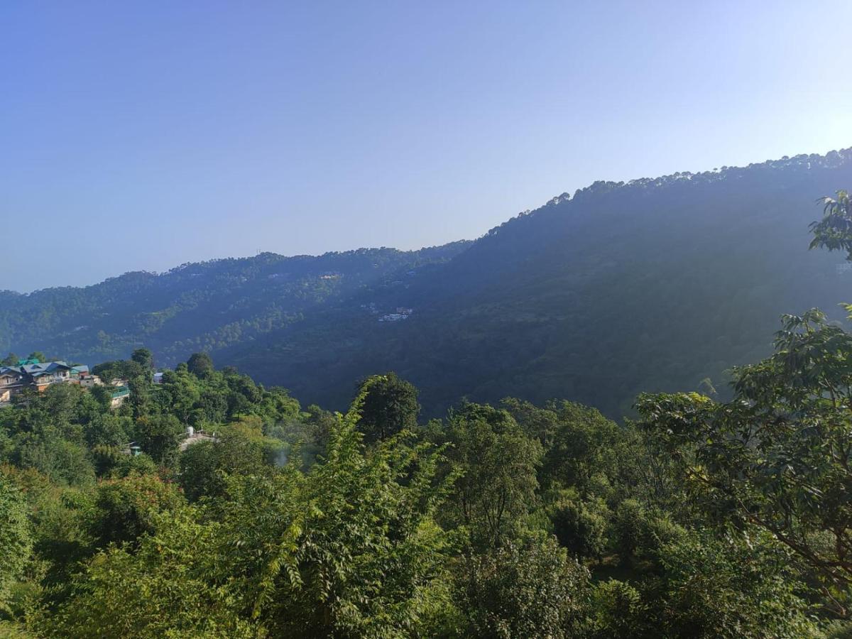 Idyllic Private Cottage W/King Bed + Mountain View Kasauli Eksteriør billede