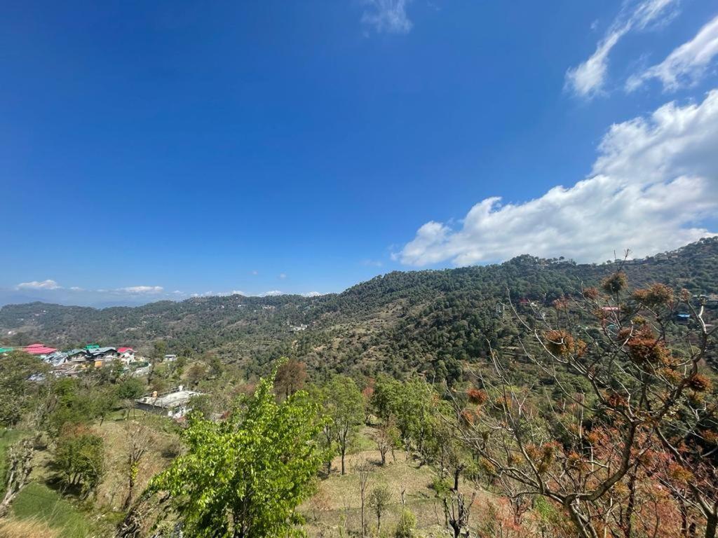 Idyllic Private Cottage W/King Bed + Mountain View Kasauli Eksteriør billede